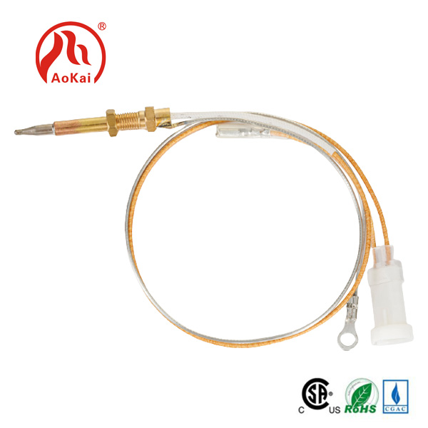 ဓာတ်ငွေ့မီးလင်းအပူချိန်အာရုံခံကိရိယာ Thermocouple