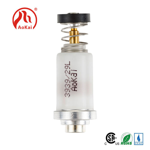 Gas Cooker အတွက် Solenoid Valve